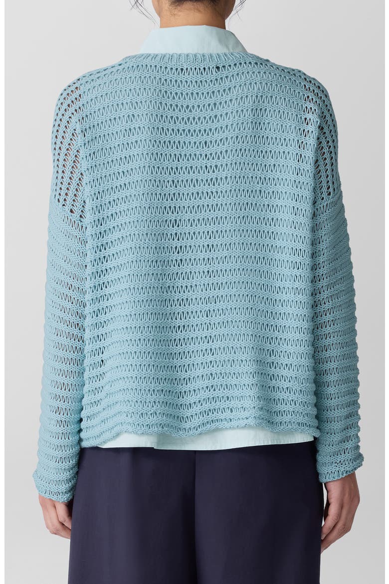 Crewneck Oversize Organic Cotton Sweater, Alternate, color, PALE SKY
