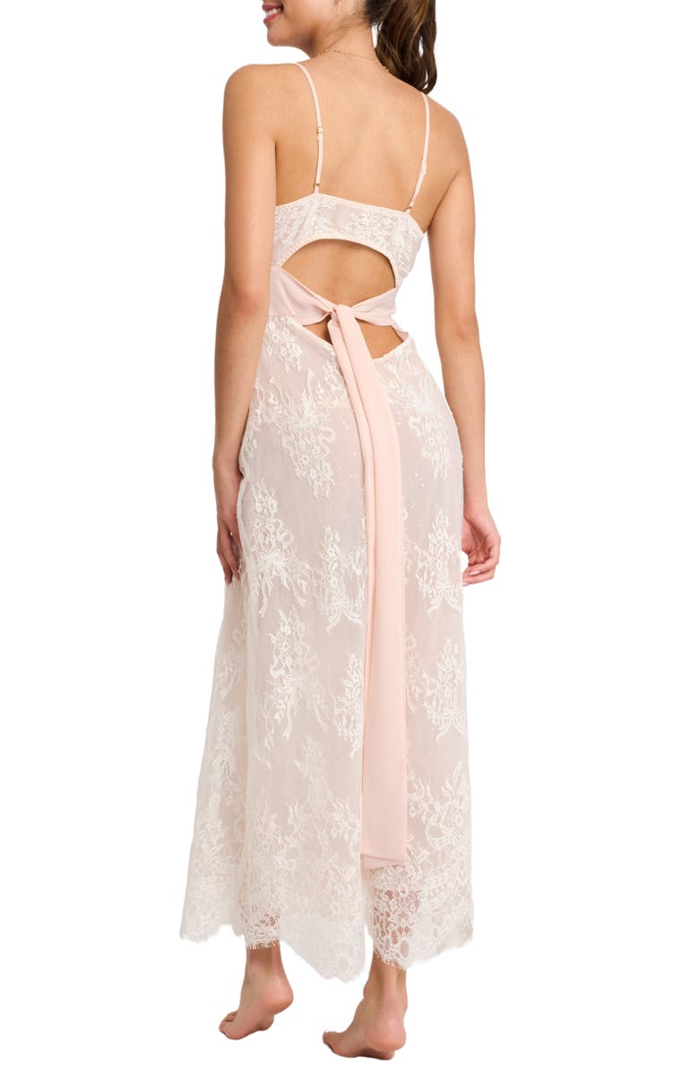 Rya Collection Giselle Lace & Chiffon Gown, Alternate, color, Blush