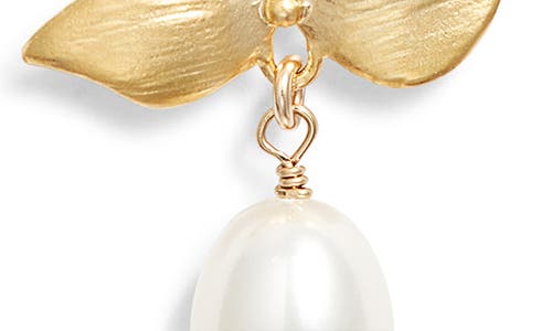 Set & Stones Maeve Freshwater Pearl Pendant Necklace In Multi