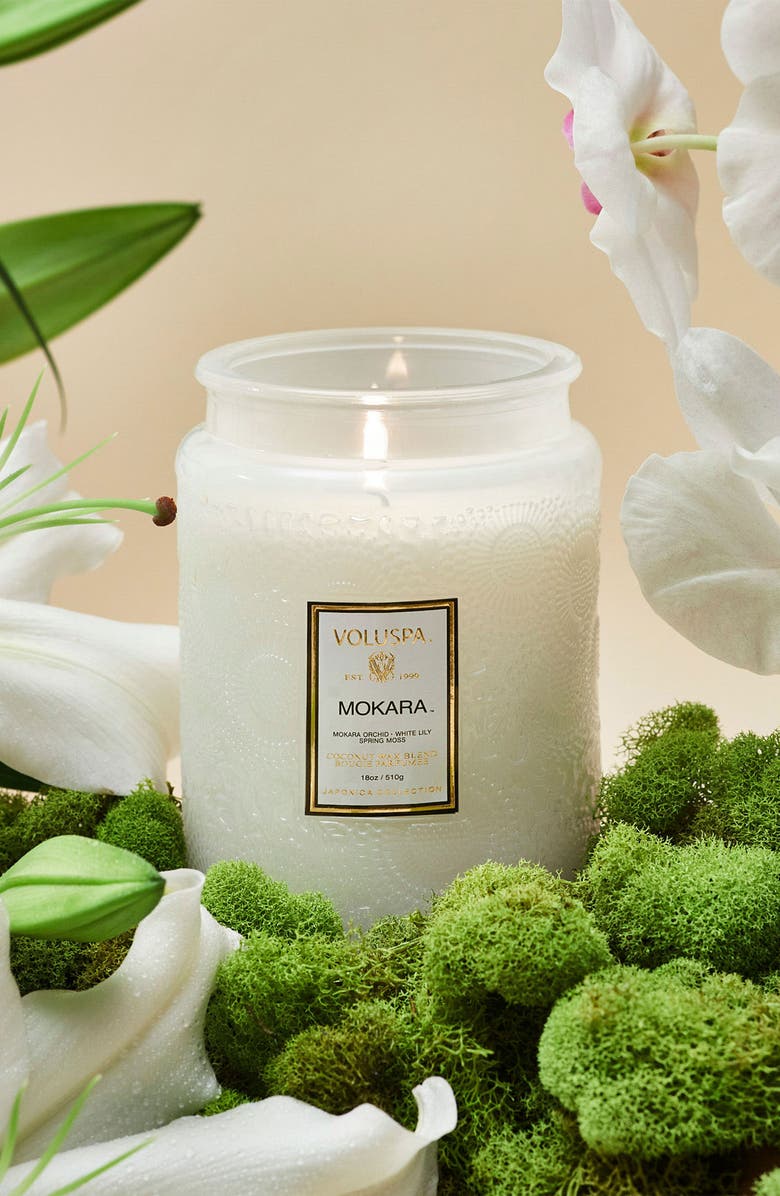 Voluspa Mokara Large Jar Candle, Alternate, color, Mokara
