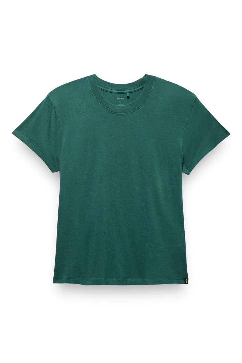 Everyday T-Shirt, Alternate, color, COAST