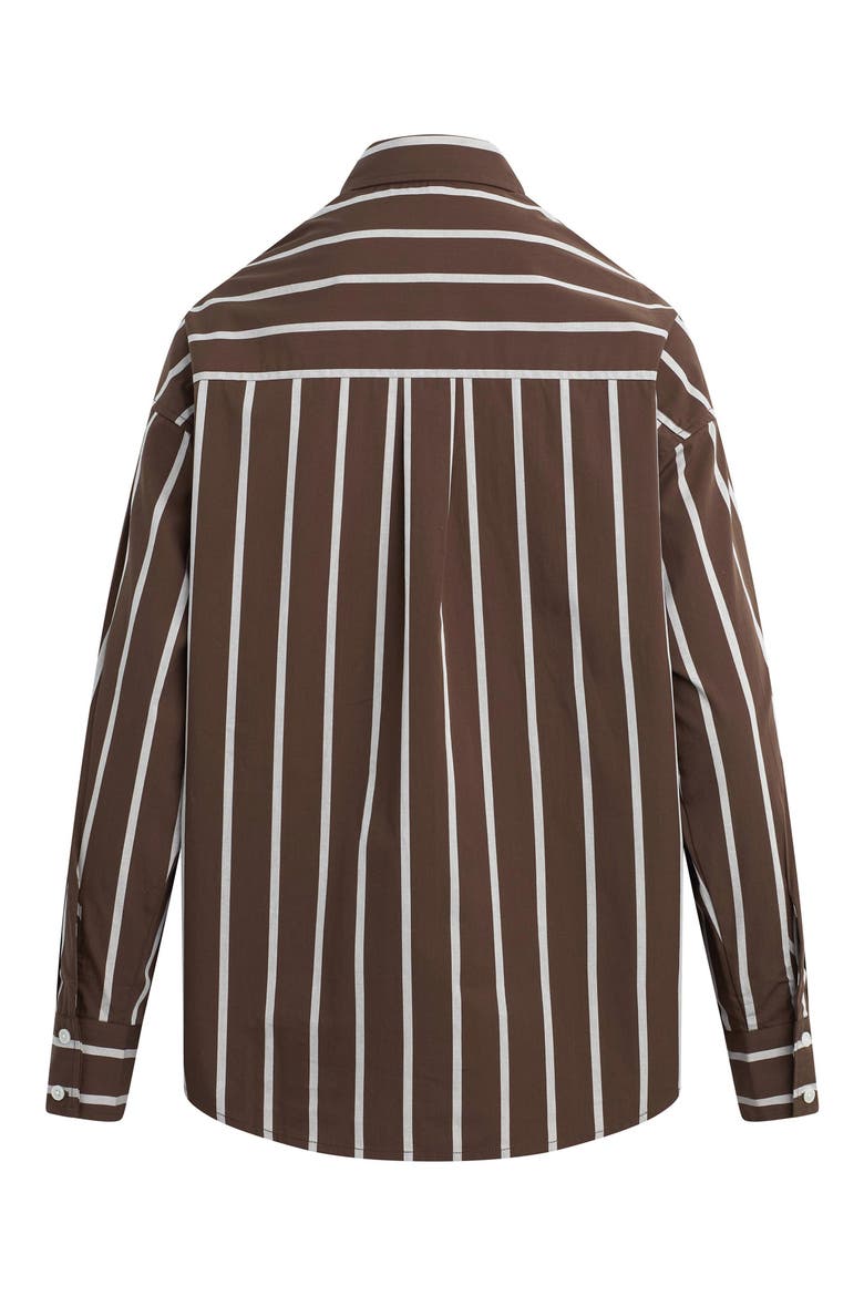 The Beau Stripe Cotton Poplin Button-Up Shirt, Alternate, color, GANACHE/ WHITE STRIPE