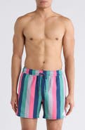 RVCA Resort Swim Trunks