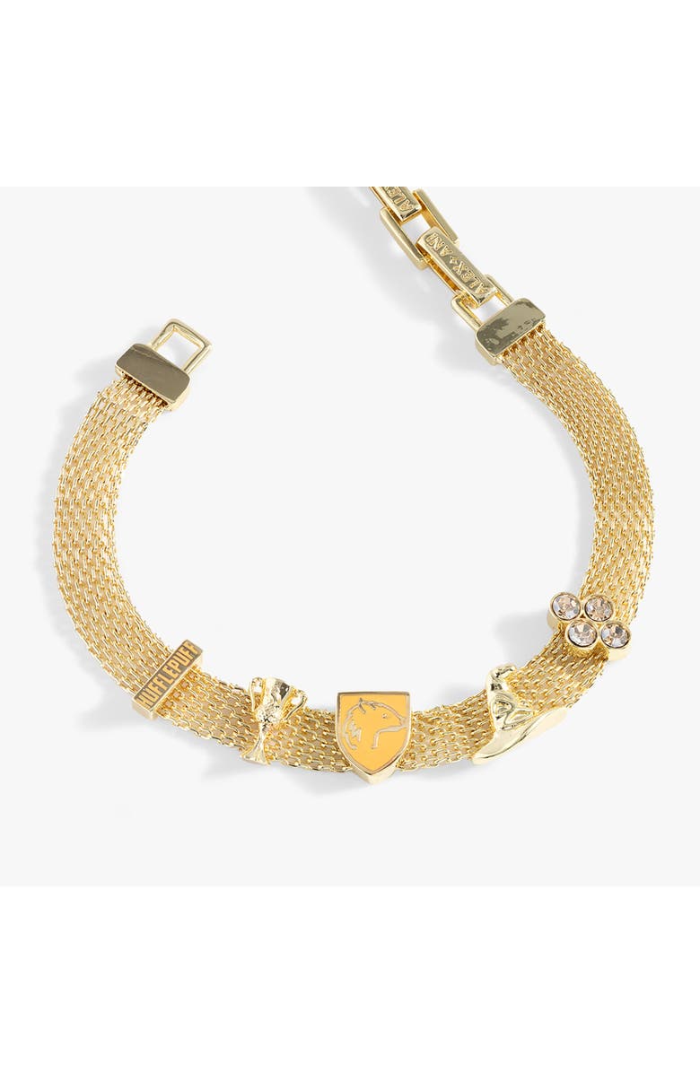 Alex and Ani Harry Potter<sup>™</sup> Hufflepuff Mesh Charm Bracelet, Alternate, color,