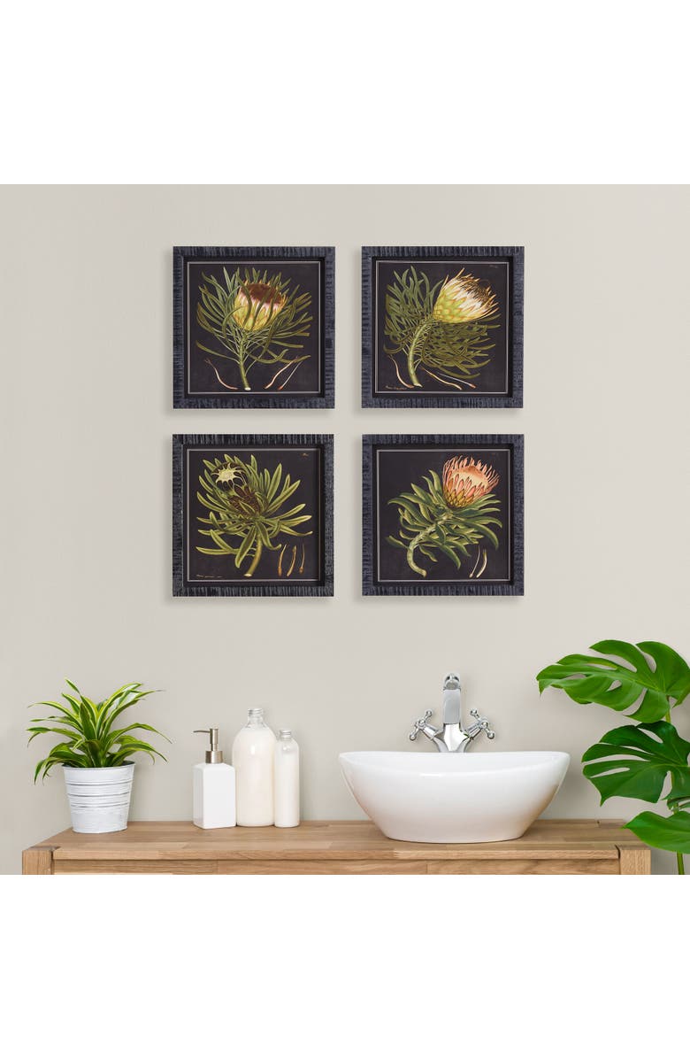 Napa Home & Garden Protea Petite Prints Set of 4, Alternate, color, Black