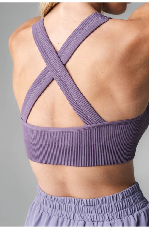 Vitality Synergy X Bra In Violet