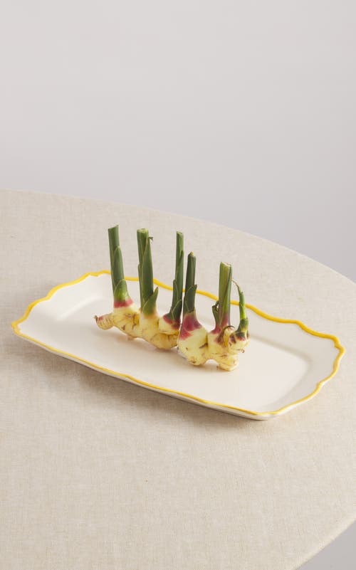 Maison Madison Home Rectangular Tray 16'' X 8,9'' In Giovanna