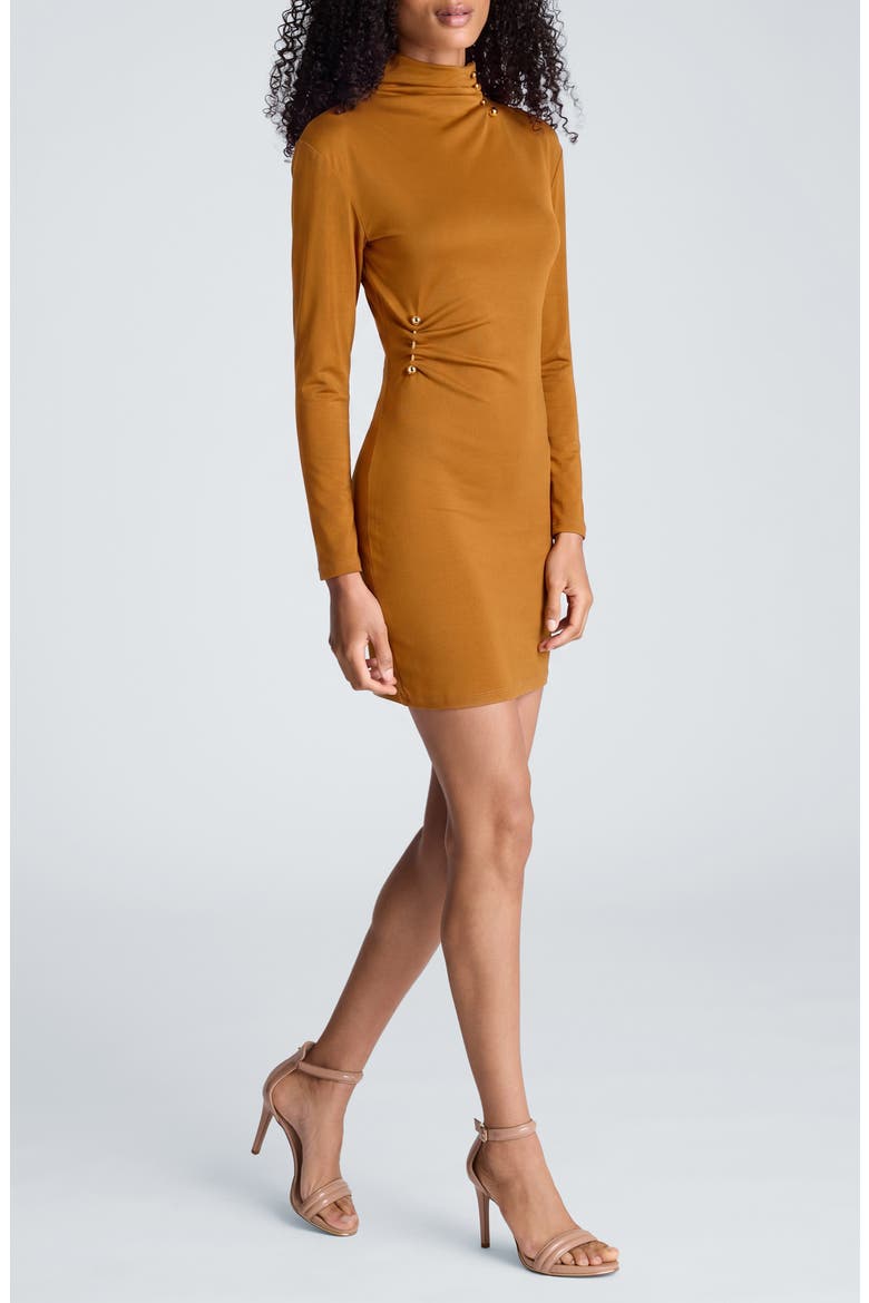 Pin Detail Long Sleeve Minidress, Alternate, color, MAPLE
