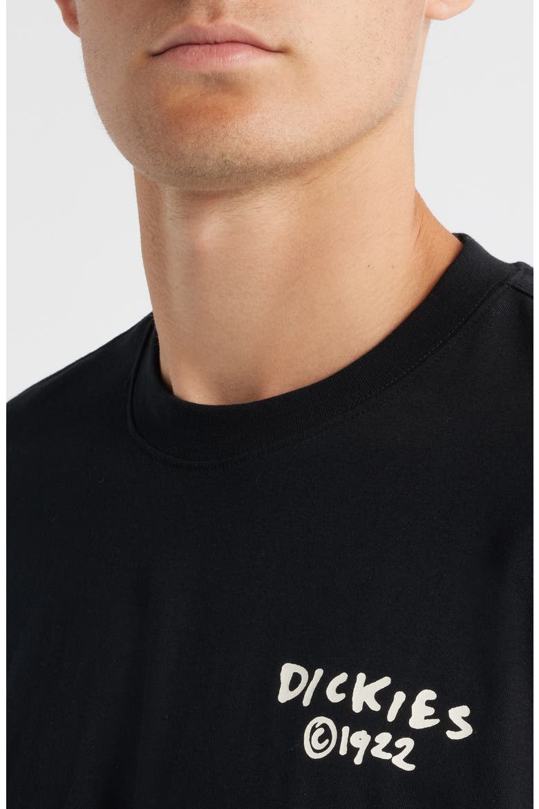 Sneedville Graphic T-Shirt, Alternate, color, BLACK