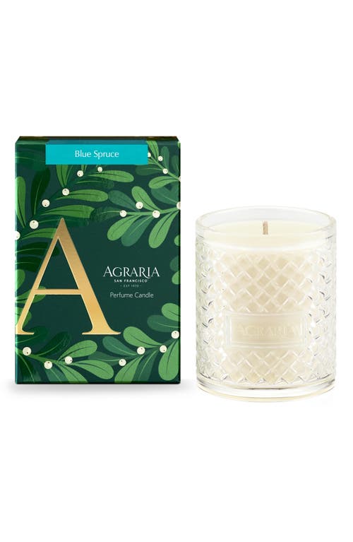 Agraria San Francisco Holiday Perfume Candle In Green
