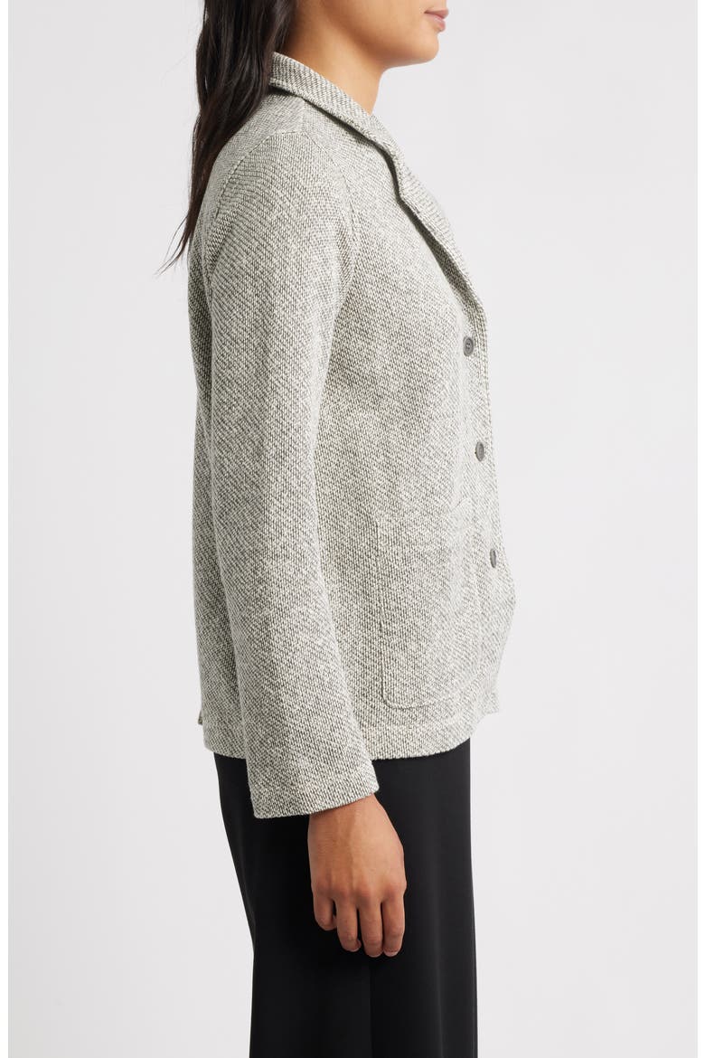 Organic Cotton Blazer, Alternate, color, ASH