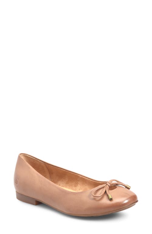 Børn Poe Ballet Flat in Brown Leather 