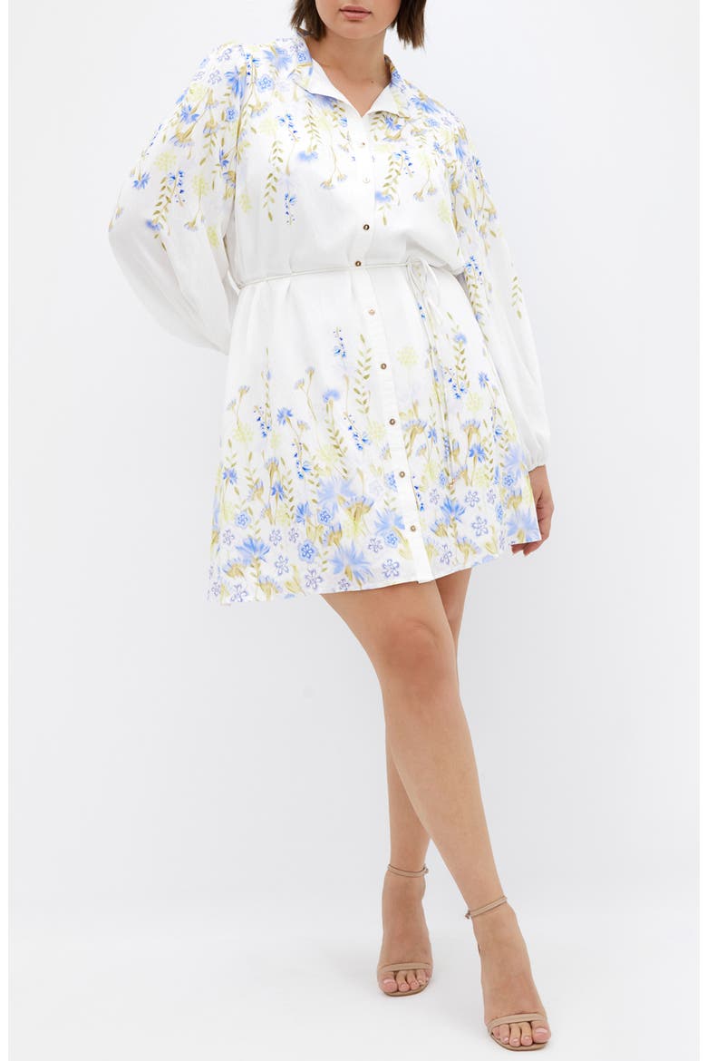 Lilliana Floral Long Sleeve Shirtdress, Main, color, MEADOW IVORY