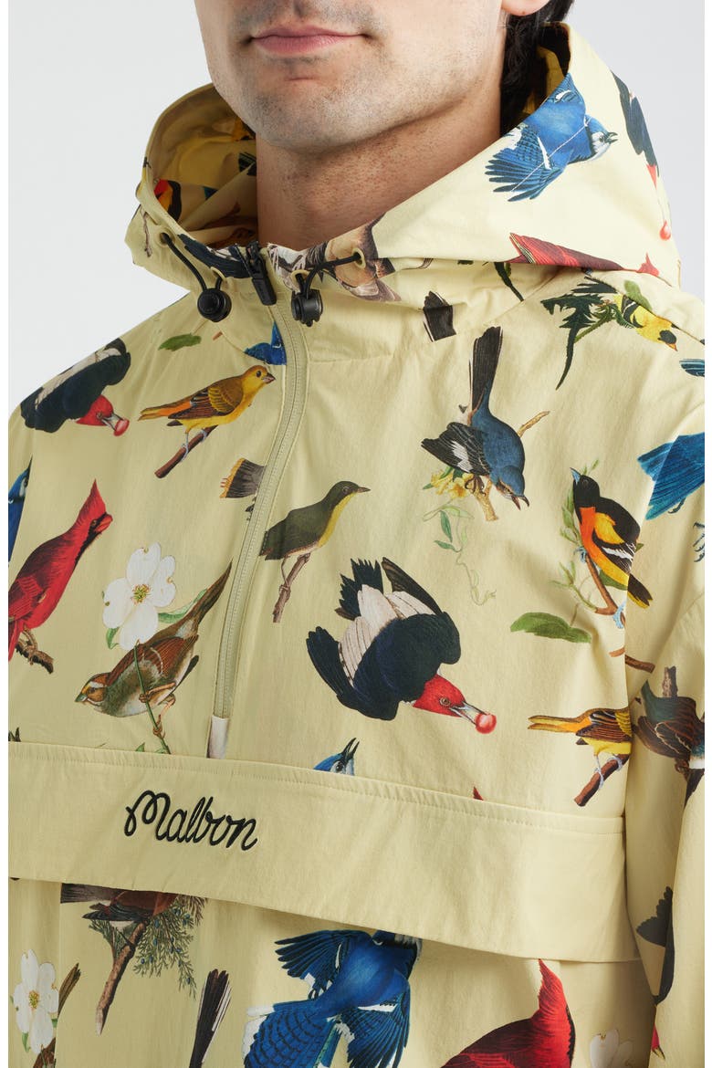 Birds of Georgia Print Ridge Quarter Zip Anorak Jacket, Alternate, color, BIRD PRINT