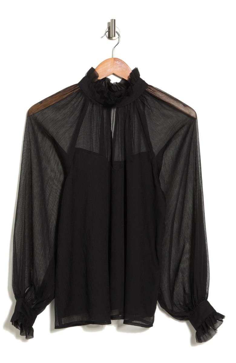 Blu Pepper Sheer Blouse, Alternate, color, 