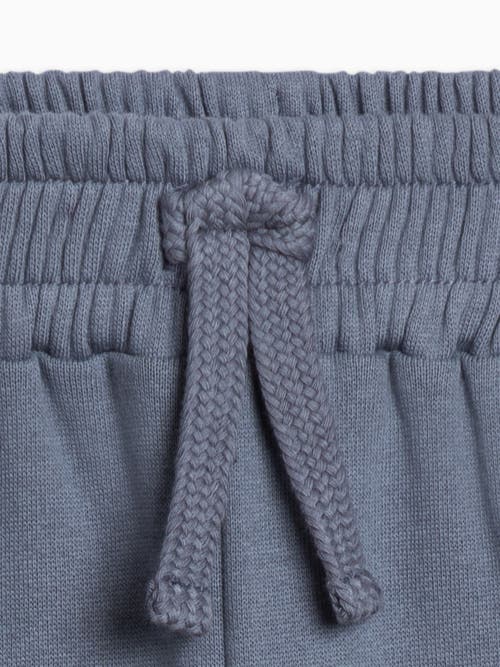 Kendi Leif Fleece Sweatpants In Gray