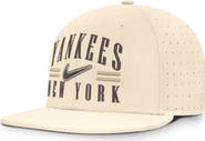 Nike Men's Nike Natural New York Yankees True Dri-FIT AeroBill Fitted Hat