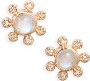 Anzie Dew Drop Marine Étoile Studs