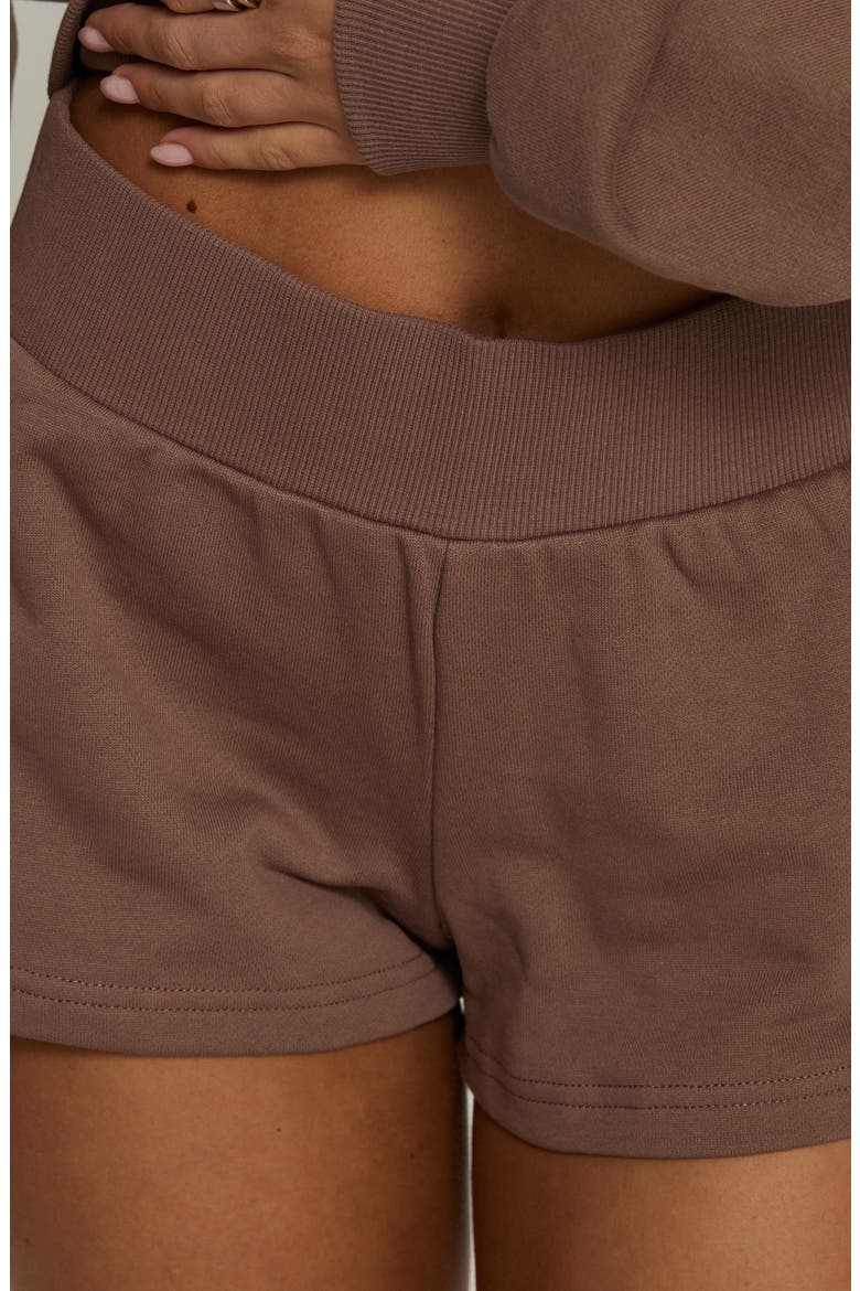 Daybreak Rib Waist Shorts, Alternate, color, COCOA
