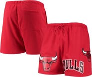 PRO STANDARD Men's Pro Standard Red Chicago Bulls Mesh Capsule Shorts