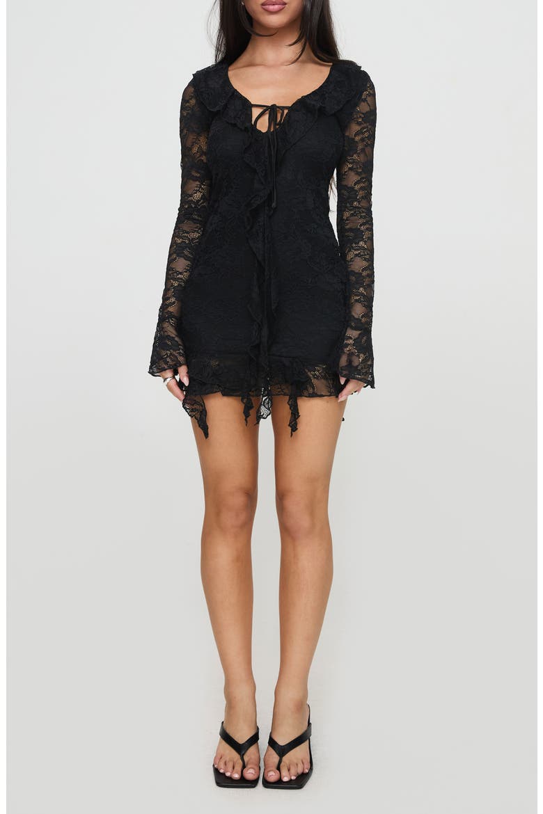 Braun Embroidered Lace Long Sleeve Minidress, Main, color, BLACK