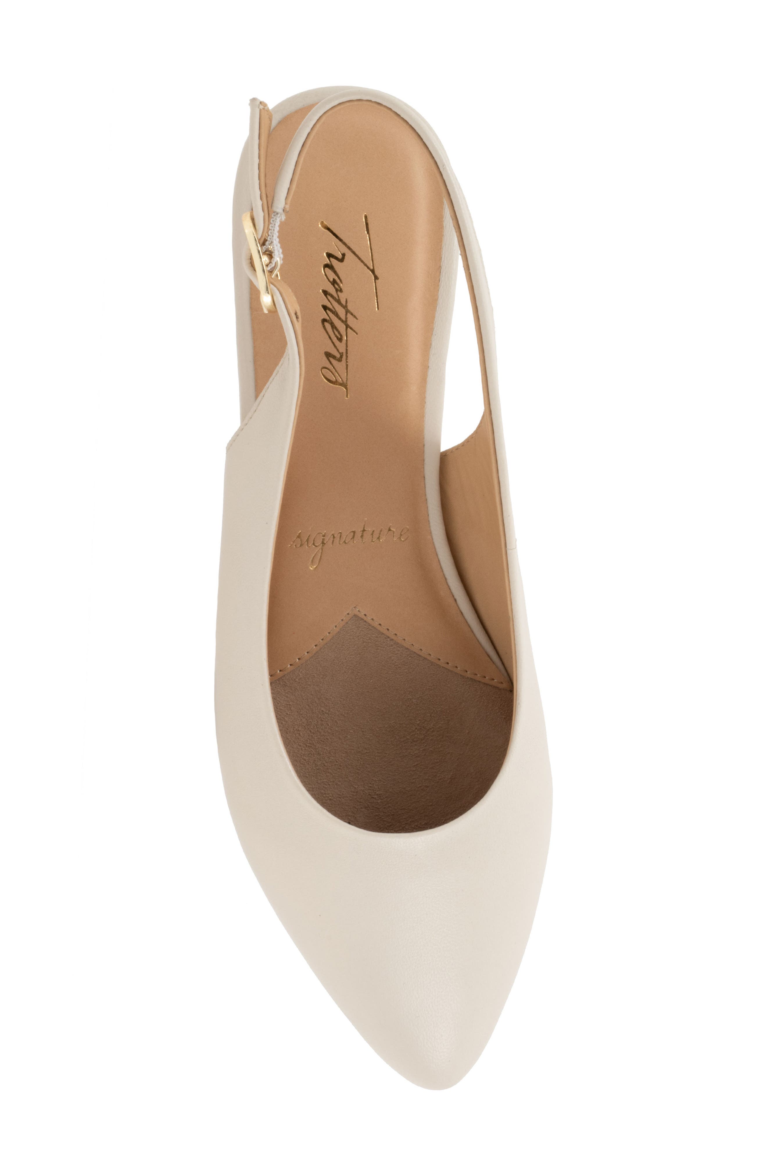 Evelyn Pointed Toe Slingback Flat - Multiple Widths Available, Alternate, color, IVORY