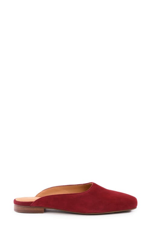 Seychelles Prim & Proper Mule In Red
