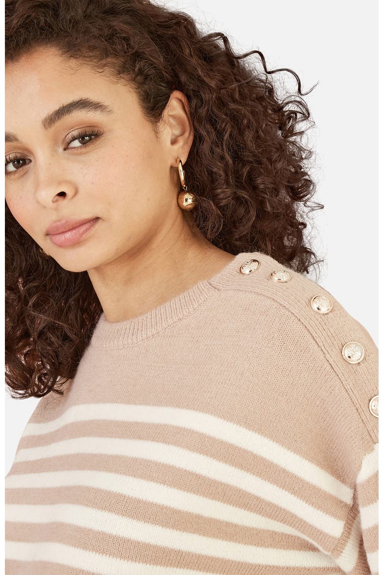 Button Detail Stripe Knitted Jumper, Alternate, color, Beige