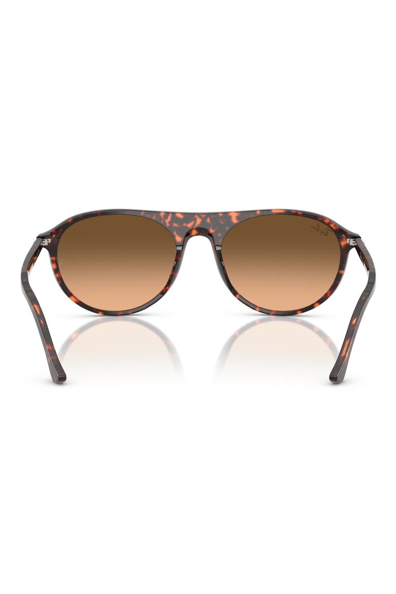 56mm Oval Sunglasses, Alternate, color, RED HAVANA