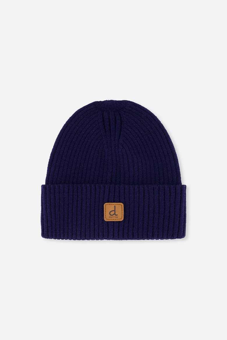 Ribbed Knit Folded Cuff Beanie, Main, color, Navy Blue