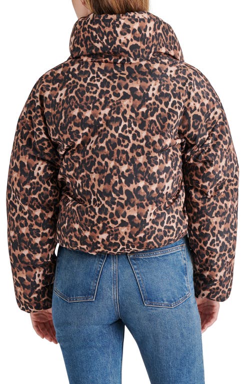 Steve Madden Evy Leopard Print Puffer Jacket