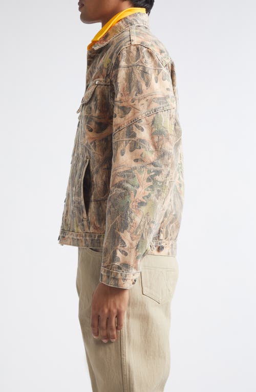 Phipps Standard Cotton Stud Jacket In Brown