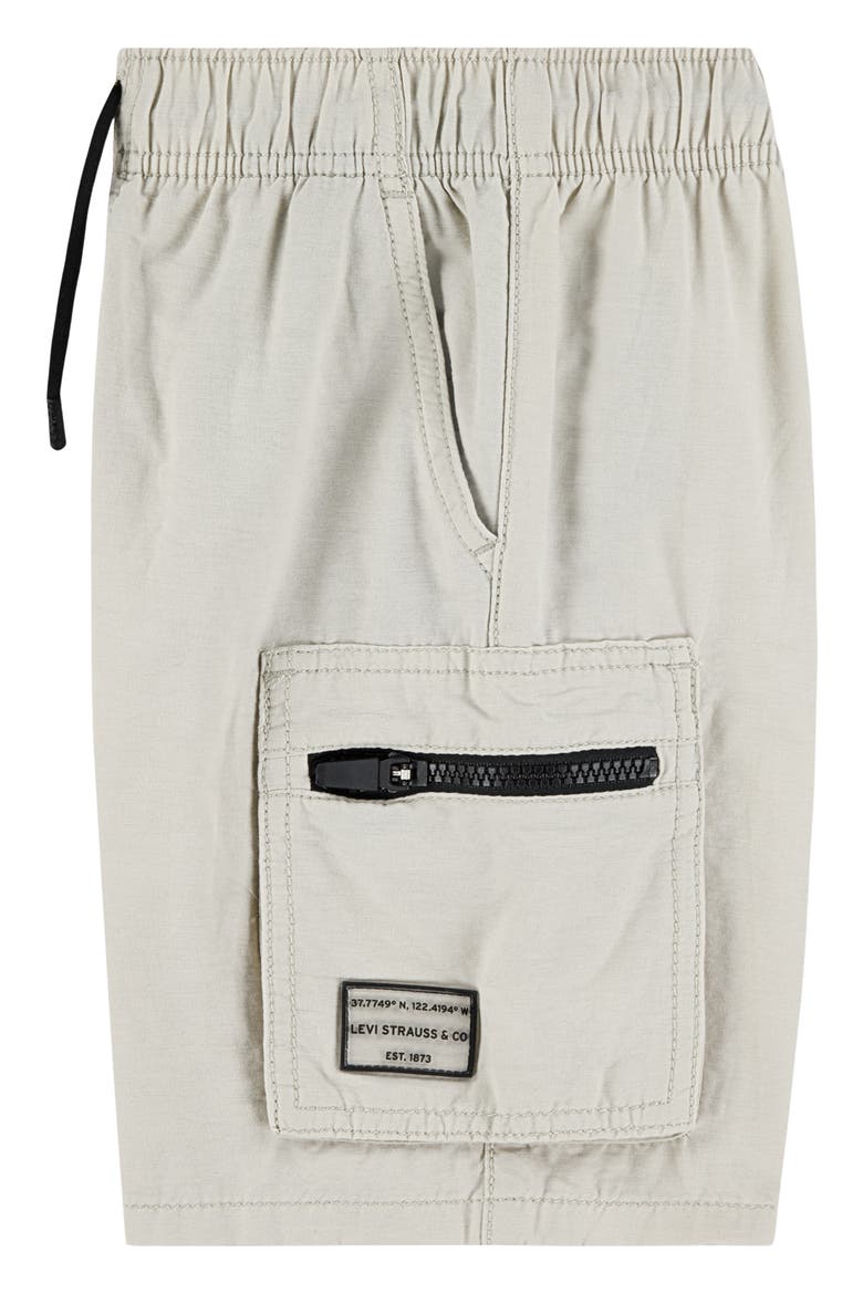 Parachute Cargo Shorts, Alternate, color, OATMEAL