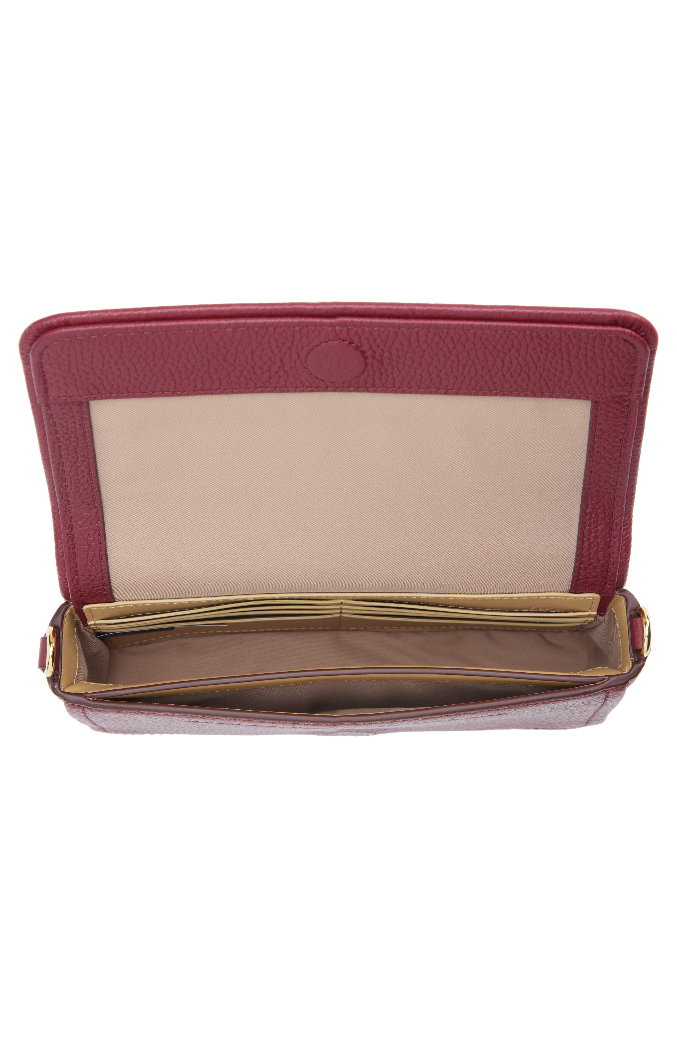 The Mini Leather Crossbody Bag, Alternate, color, CHERRY