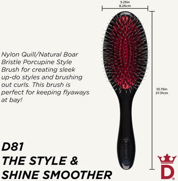 D81M Style & Shine Brush