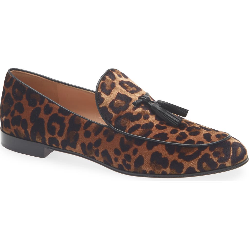 Gianvito Rossi Tassel Loafer In Leopard Print Black