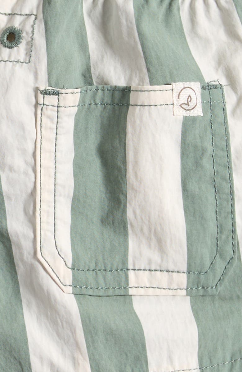 Little Planet Stripe Swim Trunks, Alternate, color, Green Striped