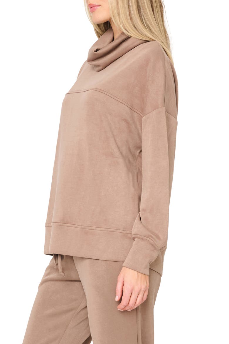 Cowl Neck Sweatshirt, Alternate, color, DARK TAUPE
