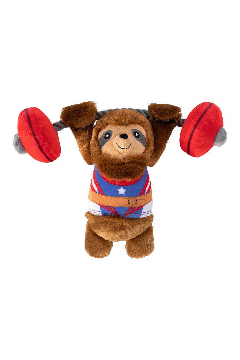 Hustle for that Muscle Plush Dog Toy, Main, color, MULTI