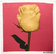 Acne Studios Vasco Rose Midsummer Silk Square Scarf