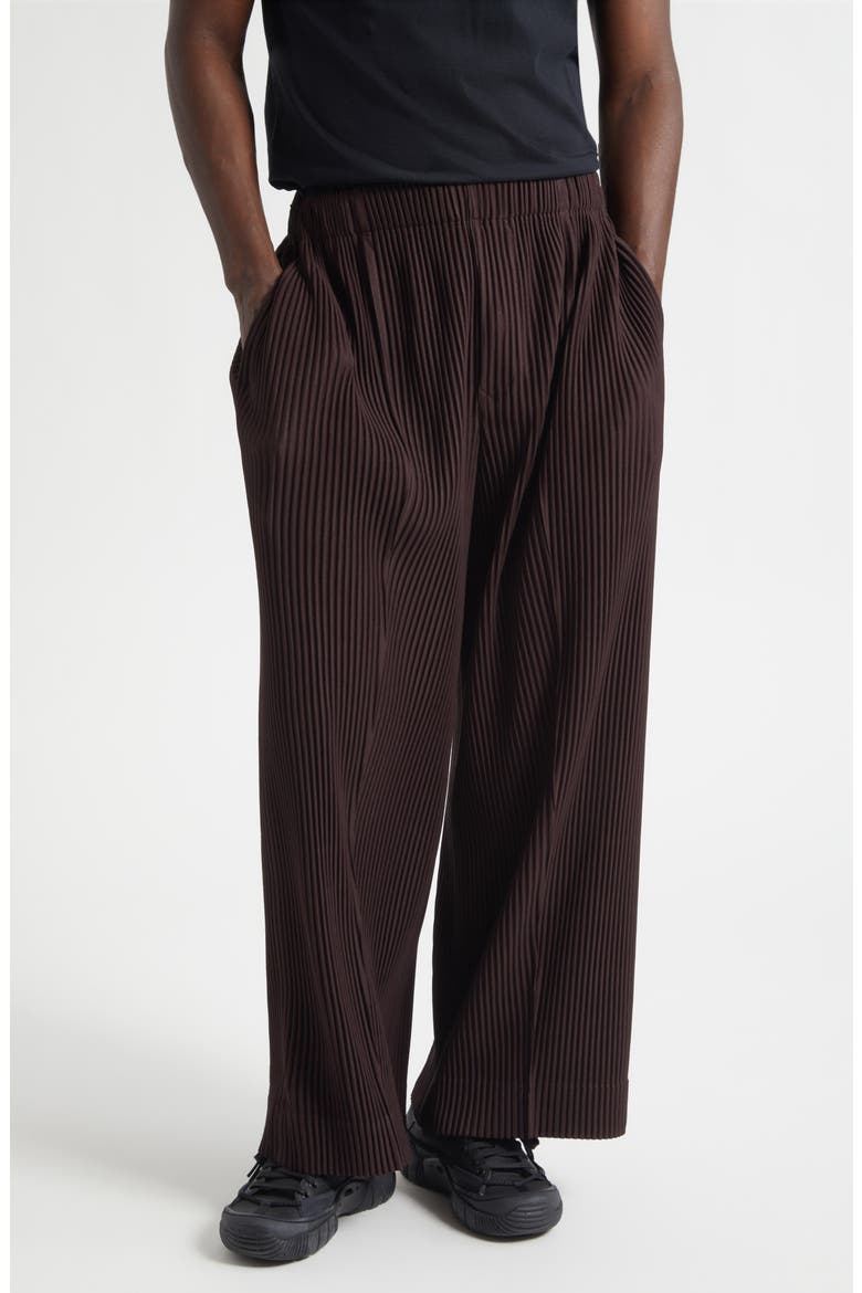 Monthly Colors January Pleated Pants, Main, color, EGG PLANT BLACK