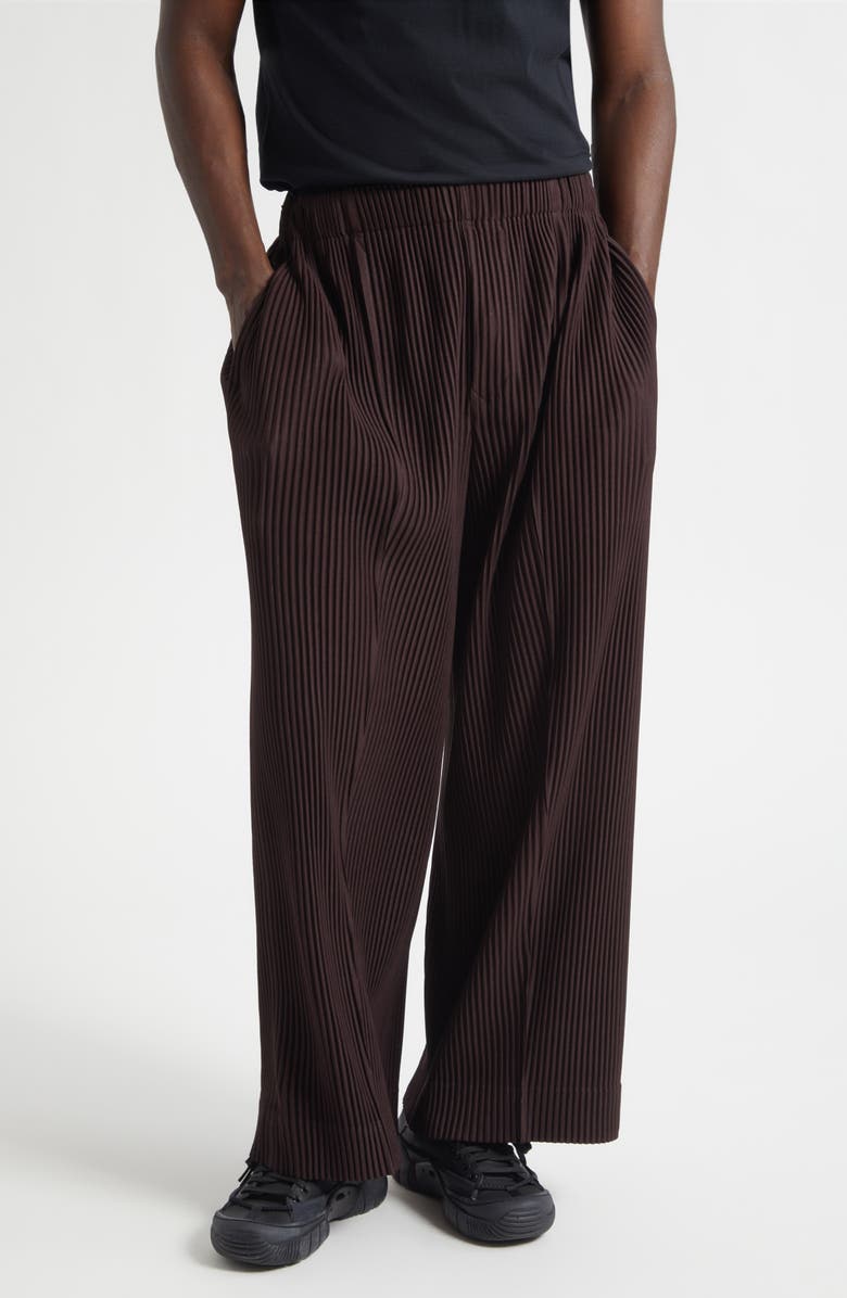 Homme Plissé Issey Miyake Monthly Colors January Pleated Pants, Main, color, Egg Plant Black