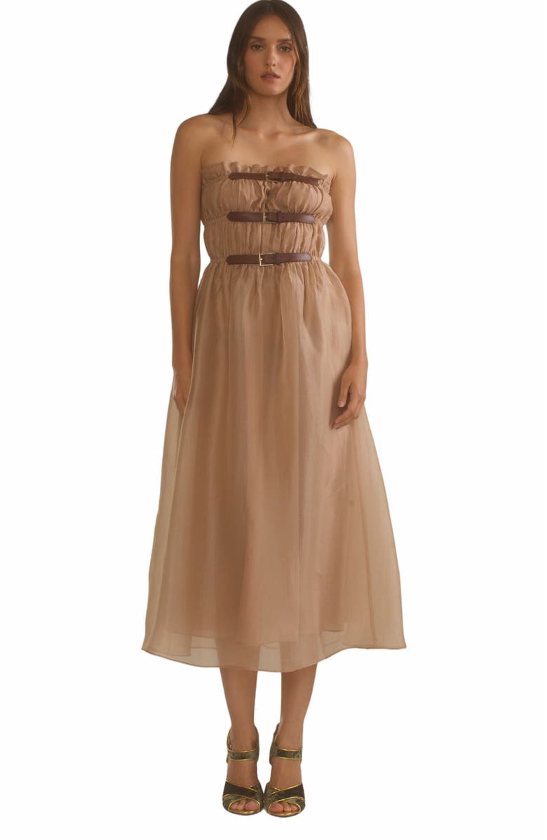 Cynthia Rowley Buckle Up Silk Organza Dress, Alternate, color,