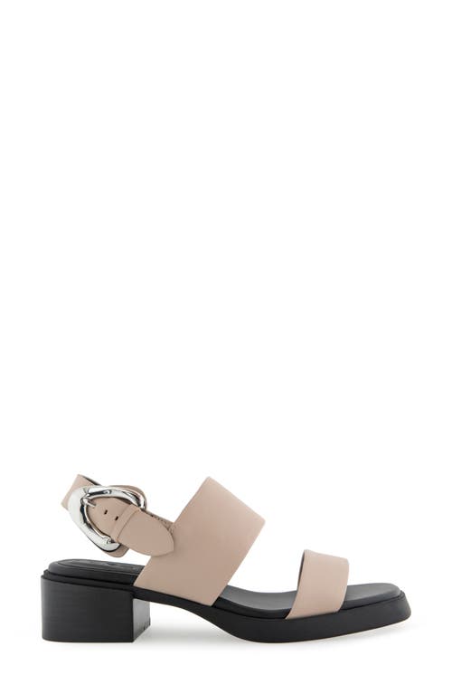 AEROSOLES AEROSOLES DANTAY SLINGBACK SANDAL 