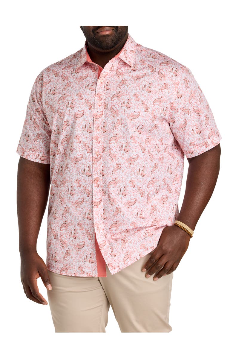 Synrgy by DXL Big & Tall Mixed Paisley Print Sport Shirt, Main, color, Pink