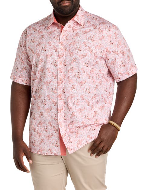 Big & Tall Mixed Paisley Print Sport Shirt