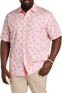 Synrgy by DXL Big & Tall Mixed Paisley Print Sport Shirt