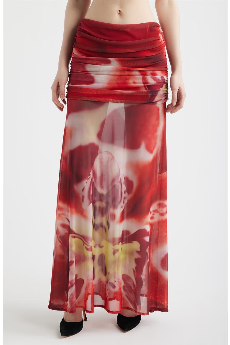 Susurro Print Ruched Mesh Maxi Skirt, Main, color, BLUSH