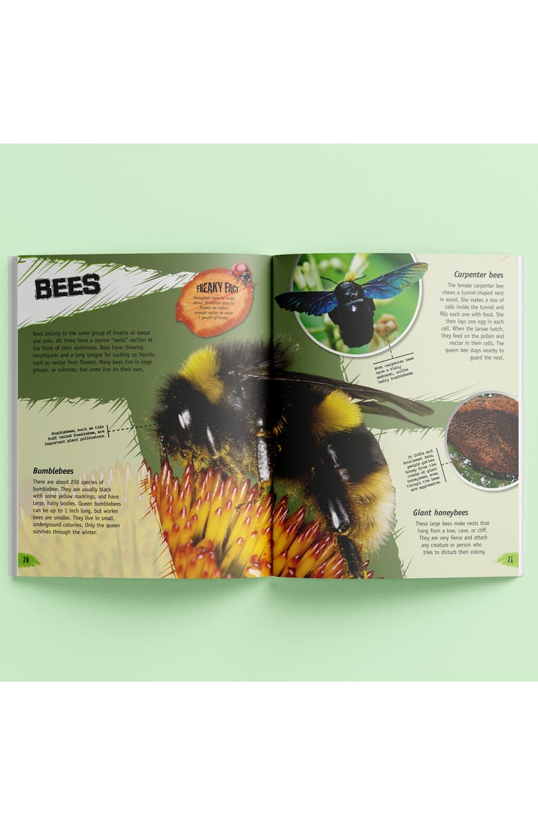 Incredible But True Bugs & Insects Kids Hardcover Book, Alternate, color,