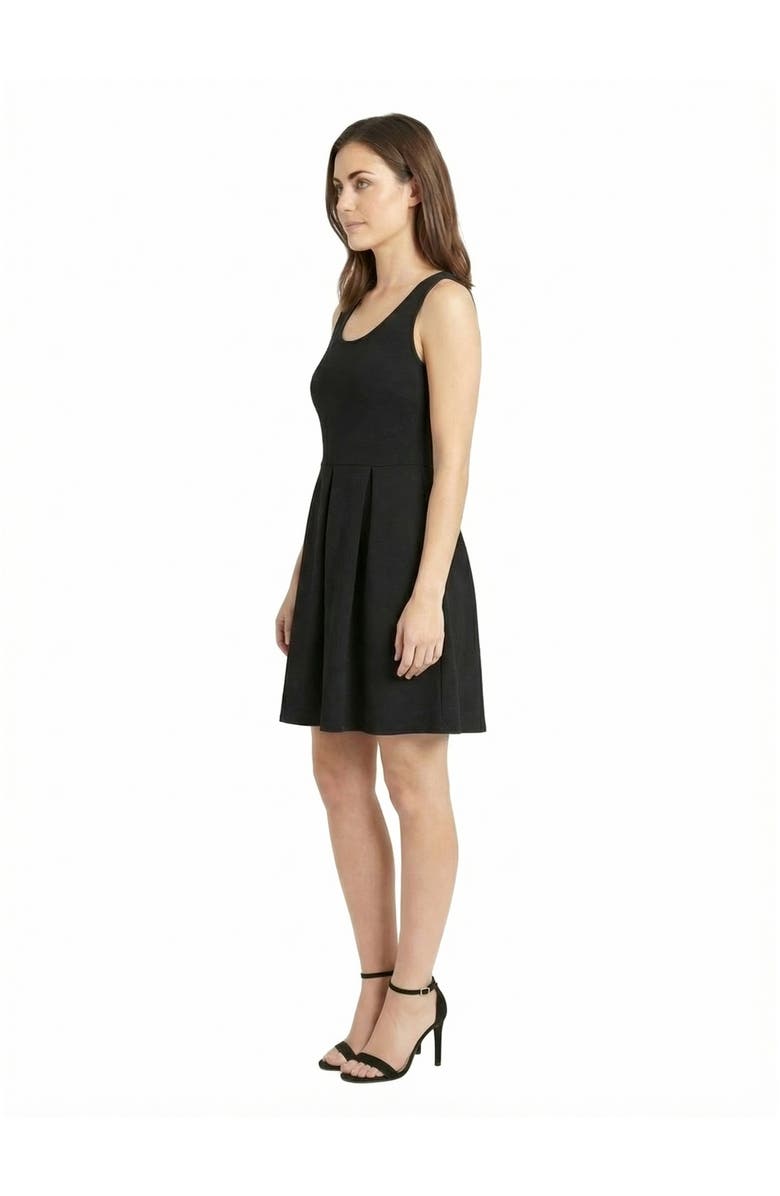 24seven Comfort Apparel Essential Petite Scoop Neck Sleeveless Pleated Knee Length Pocket Fit N Flare Dress, Alternate, color, Black